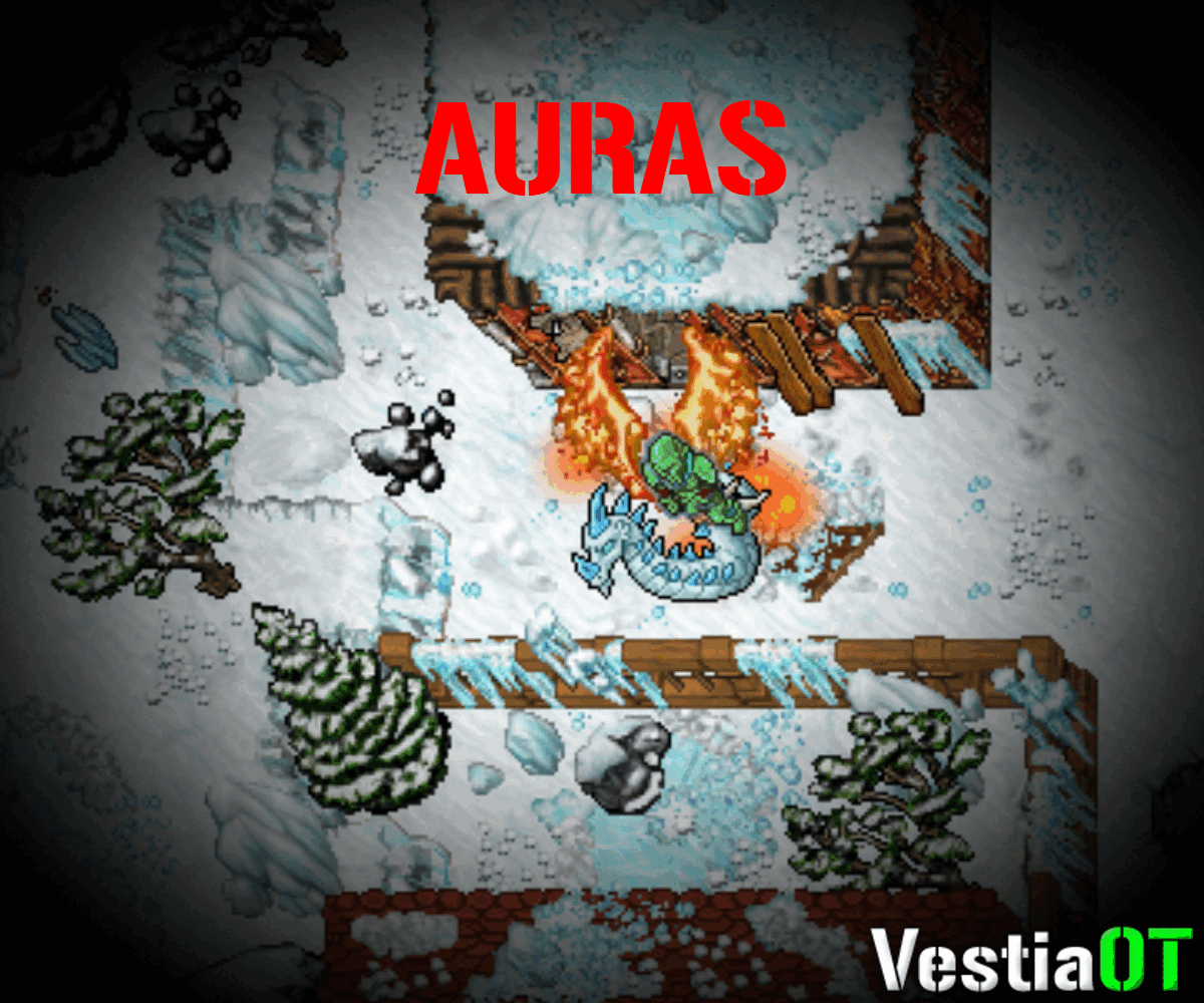System Aur, Wings, Shaderów